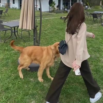 家的方向